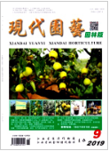 《现代园艺》-2019.18
