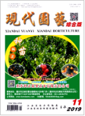 《现代园艺》-2019.21