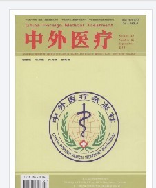 《中外医疗》