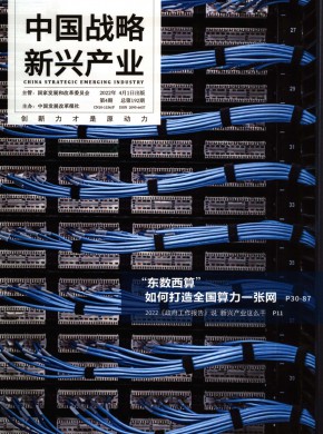《中国战略新兴产业》